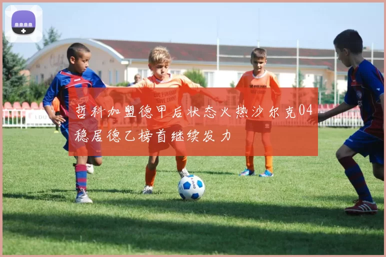 哲科加盟德甲后状态火热沙尔克04稳居德乙榜首继续发力