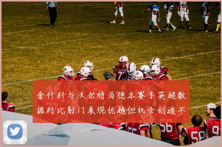 舍什科与沃尔特马德本赛季英超数据对比射门表现优越但机会创造不足
