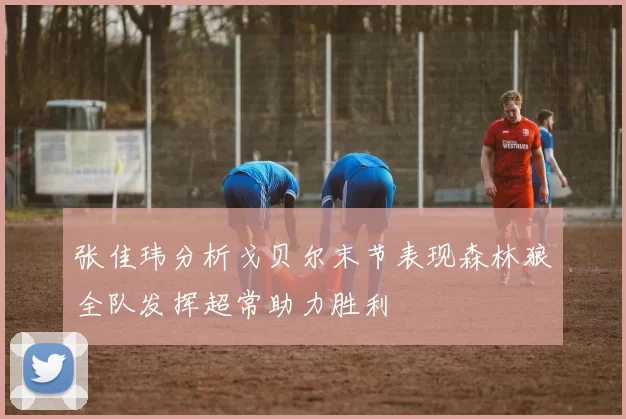 张佳玮分析戈贝尔末节表现森林狼全队发挥超常助力胜利