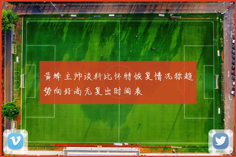 黄蜂主帅谈科比怀特恢复情况称趋势向好尚无复出时间表